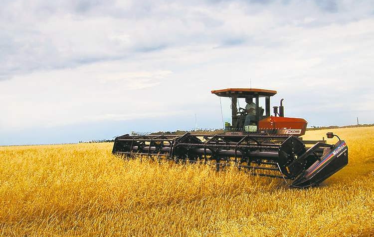 Foundation of Agricultural Company in Lithuania